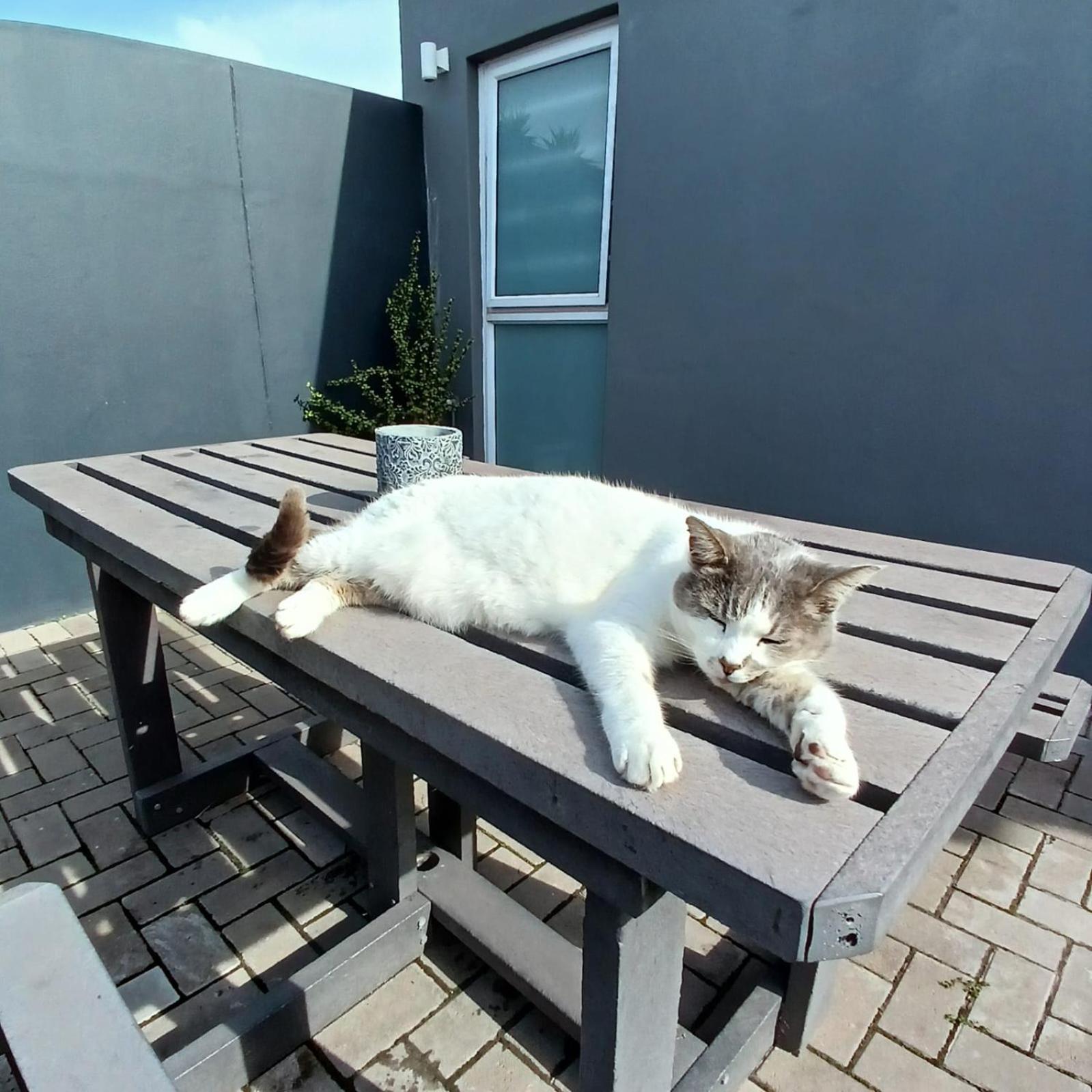 Wanderlust Private Studio Apartment Langebaan Extérieur photo